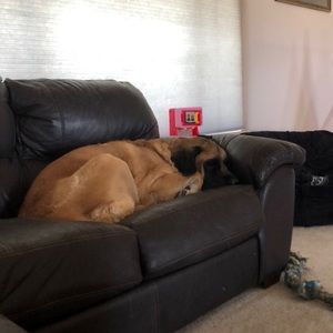 Meet your Posher, Wesley